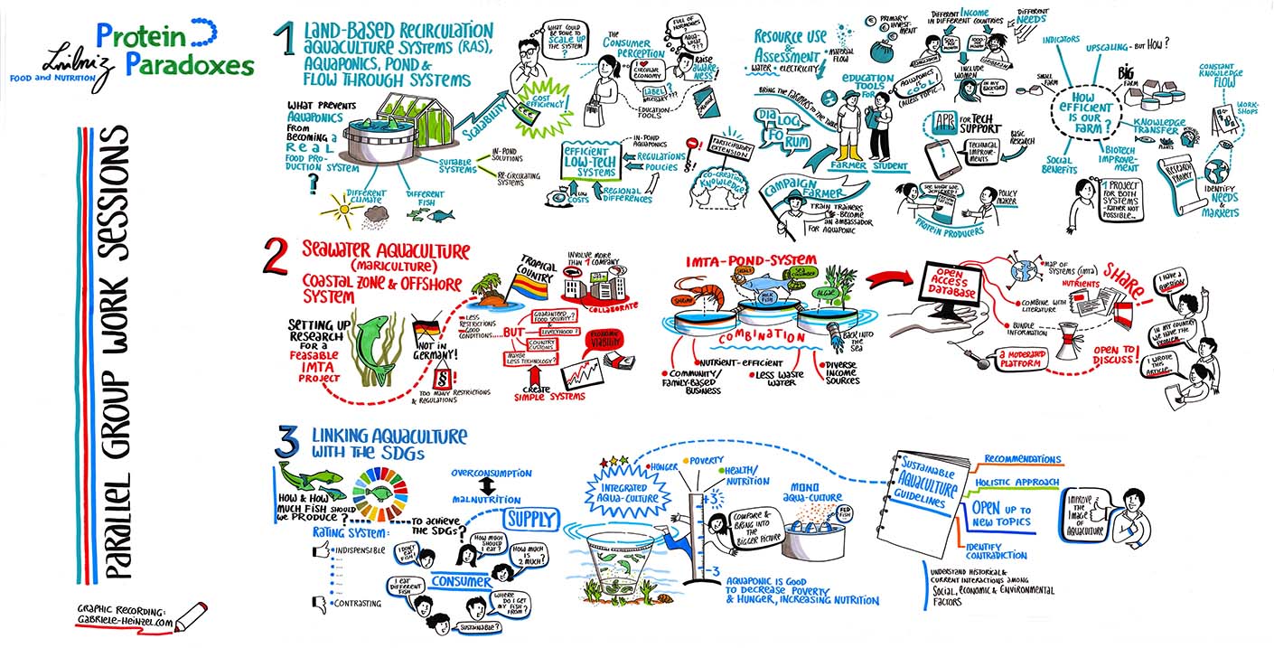 Zusammenfassungen aus 3 parallelen Workshops des Leibniz Instituts - Graphic Recording Gesamtansicht von Gabriele Heinzel zu Protein Paradoxes