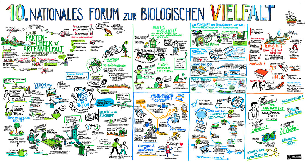 Gabriele Heinzel - Beste Graphic Recorderin Deutschlands hat dieses Visualrecording zur Artenvielfalt erstellt