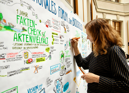 Gabriele Heinzel zeichnet beim Forum Artenvielfalt ein Graphic Recording